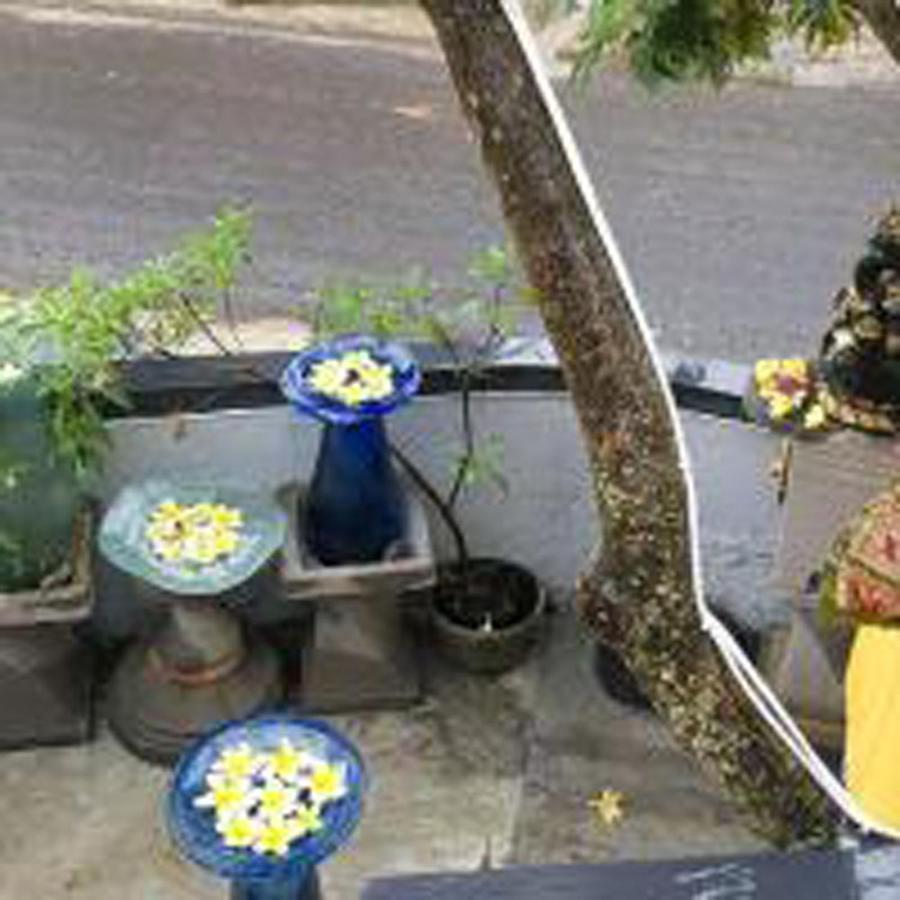 Bulan Bali Guest House 乌布 外观 照片